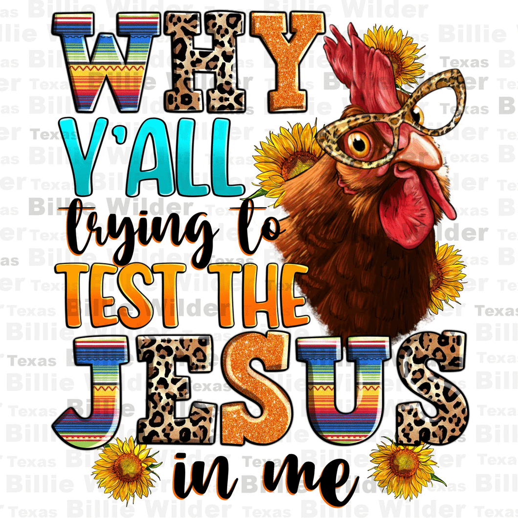 Custom | Test the Jesus in Me